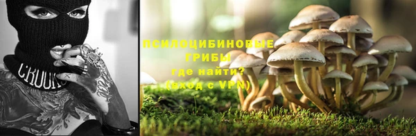 дурь Магадан