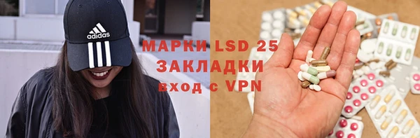 ГАЛЛЮЦИНОГЕННЫЕ ГРИБЫ Медногорск
